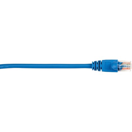 BLACK BOX Multimode Fiber Cable Ceramic, Pvc Sc-Sc CAT5EPC-006-BL